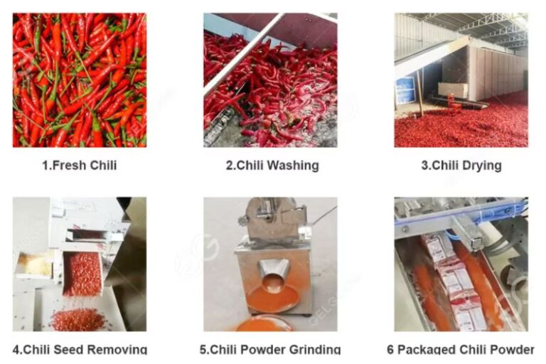 untitled design (12)