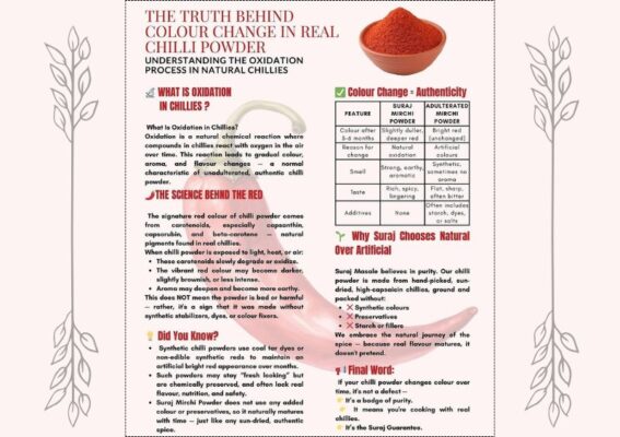 untitled design (16)