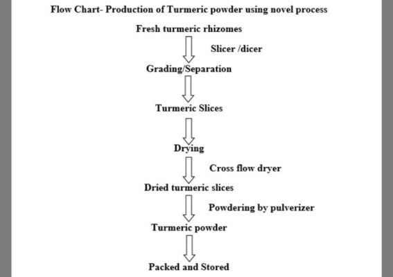 untitled design (17)